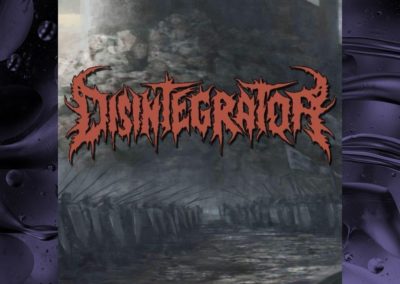 Disintegrator
