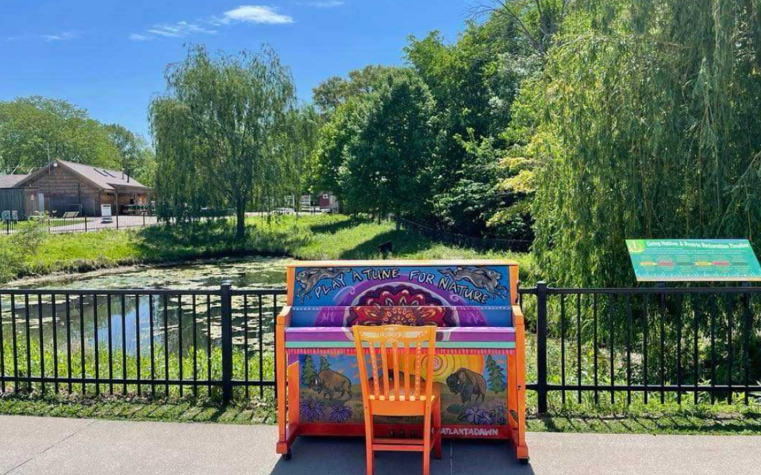 A painted piano sits amongst animal enclosures at the Niabi Zoo